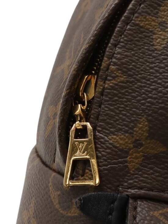 Louis Vuitton Monogram Palm Spring Backpack Mini main image 4